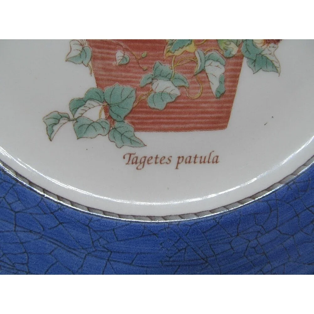 Wedgwood Queen's Ware England Sarah's Garden Tagetes patula Salad Plate 8